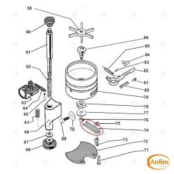 FORK SPRING ANFIM image
