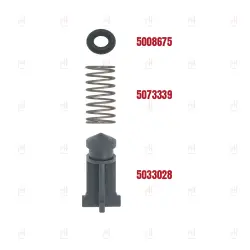 WATER COINTAINER SPRING ø10x19mm SAECO/GAGGIA image