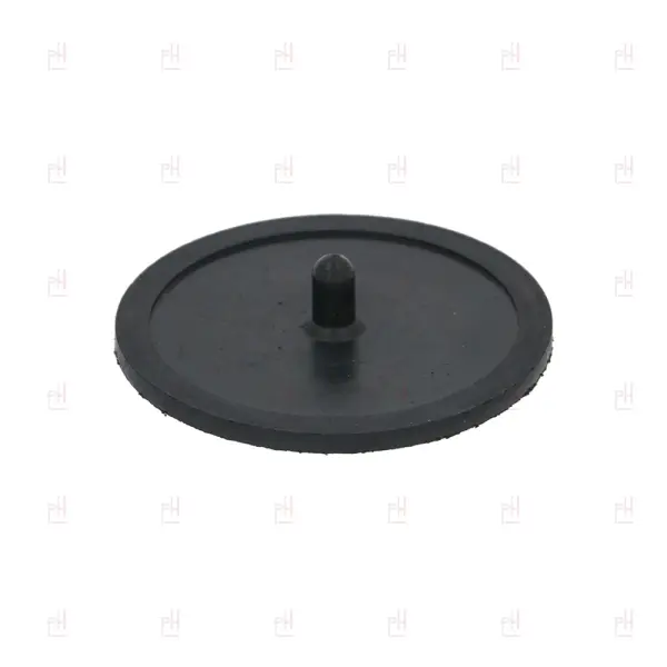 BLIND MEMBRANE FILTER ø50mm image