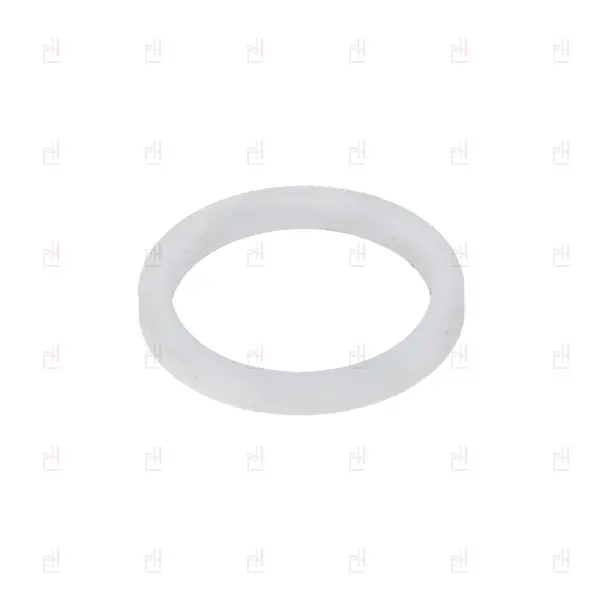 GASKET FLAT PTFE ø21x16.8x2mm STEAM WAND NUT image