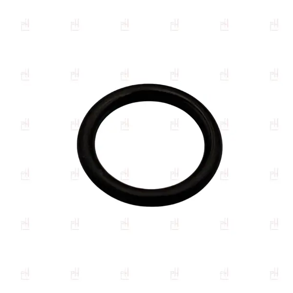 O-RING 02043 EPDM image
