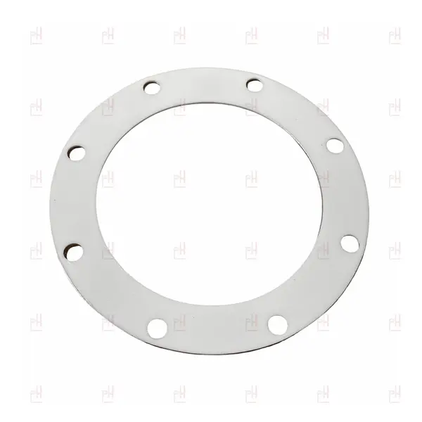 BOILER GASKET 175x123x2MM PTFE image