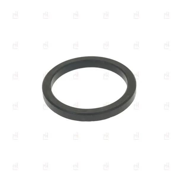 GROUPHEAD GASKET ø63x52x6.5mm SPAZIALE image