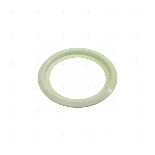 CONTAINER GASKET BRAS/UGOLINI image