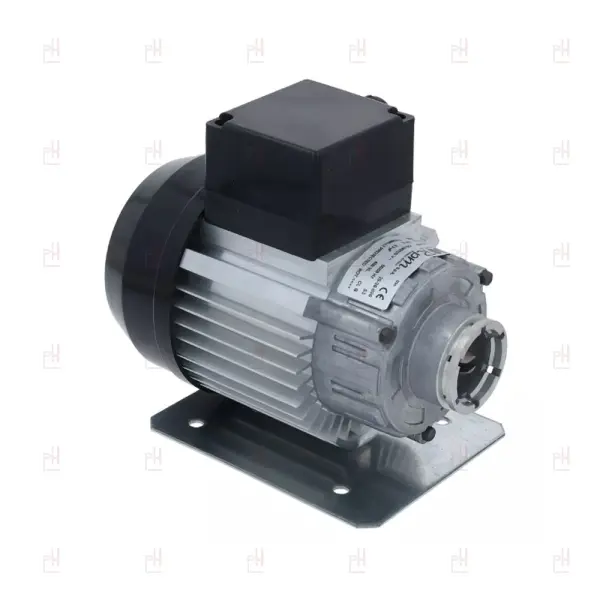 MOTOR RPM WITH CLAMP CONNECTION 300W image