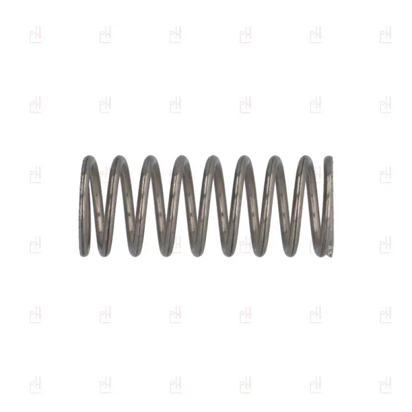 TAP SPRING ø12x29.5 LA MARZOCCO image