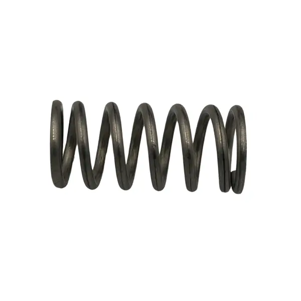 TAP SPRING ø14.4x31mm SPAZIALE/GAGGIA/PAVONI image