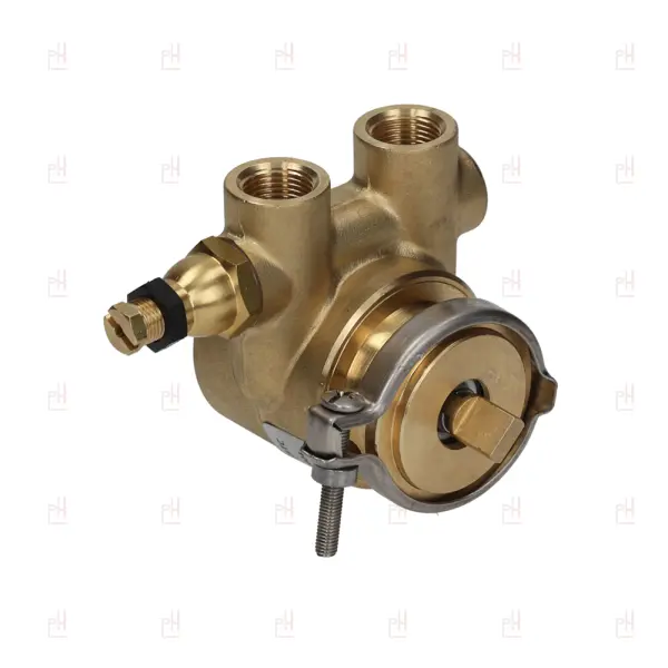 ROTARY VANE PUMP ROTOFLOW 3/8