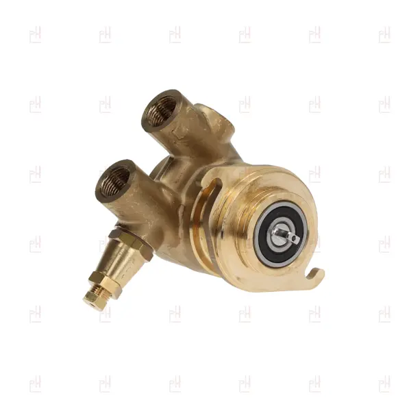 ROTARY VANE PUMP NUERT 3/8