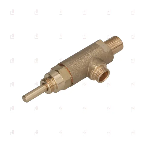 WATER/STEAM TAP FIORENZATO/SAB image