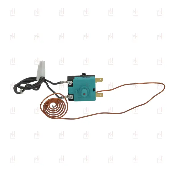 SINGLE PHASE THERMOSTAT 106°C ANIMO image