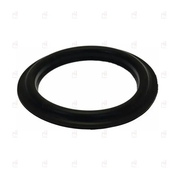GROUPHEAD GASKET ø79x56x6.5 GAGGIA CLASSIC image