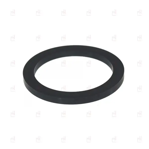 GROUPHEAD GASKET ø73.5x57x5mm  GAGGIA CUBIKA image