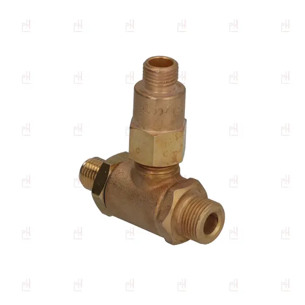 EXPANSION AND NON-RETURN VALVE CMA image