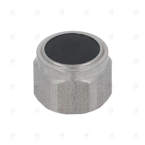 NUT & GASKET FOR STEAM TAP RANCILIO/PROMAC image