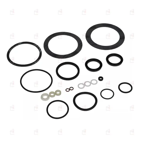 GASKET KIT PAVONI PROFESSIONAL image