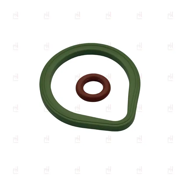 GASKET KIT FOR LIQUIPURE SOLENOID VALVES image