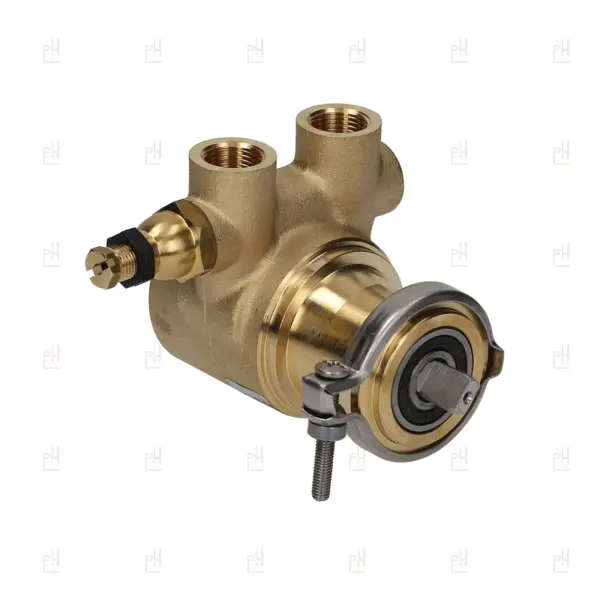 ROTARY VANE PUMP ROTOFLOW 3/8