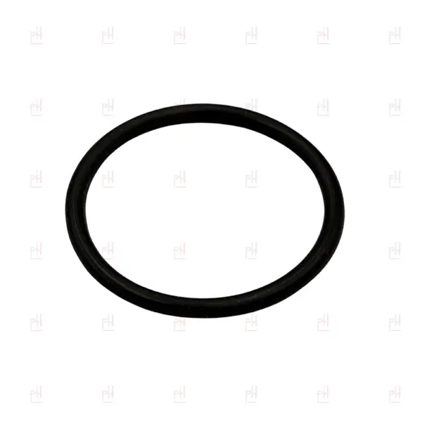 O-RING 02081 EPDM image