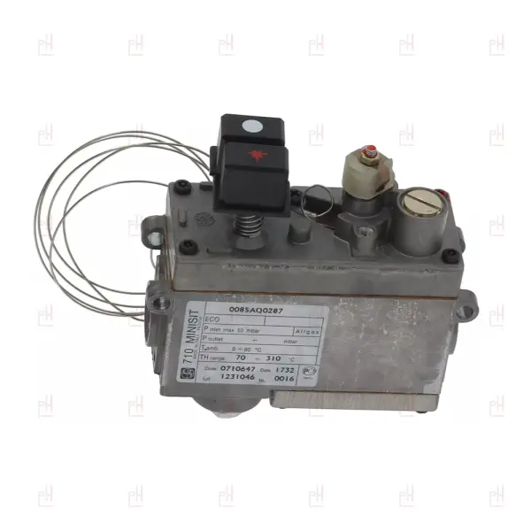 MINISIT FRYER VALVE 70/310°C image