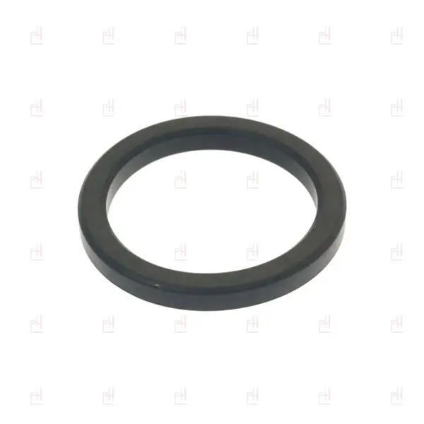 GROUPHEAD GASKET ø69x57x7.5mm CARIMALI image