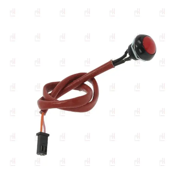 PUSH-BUTTON RED MACAO image