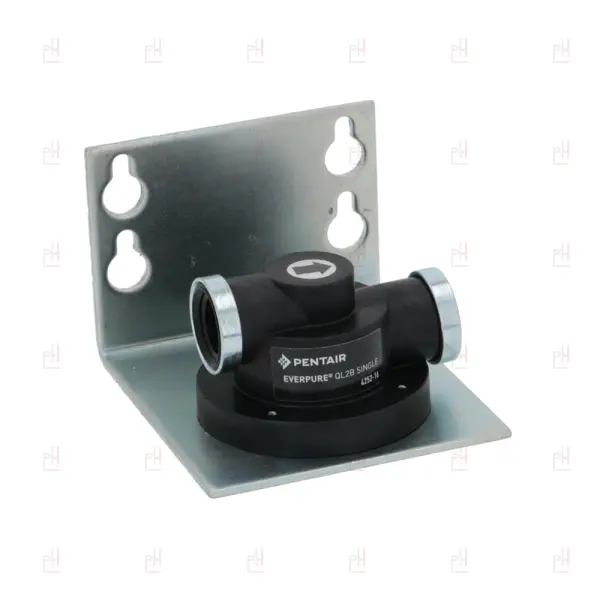 FILTER HEAD QL2B EVERPURE image