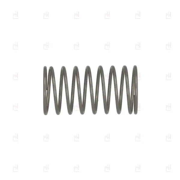 WATER COINTAINER SPRING ø10x19mm SAECO/GAGGIA image