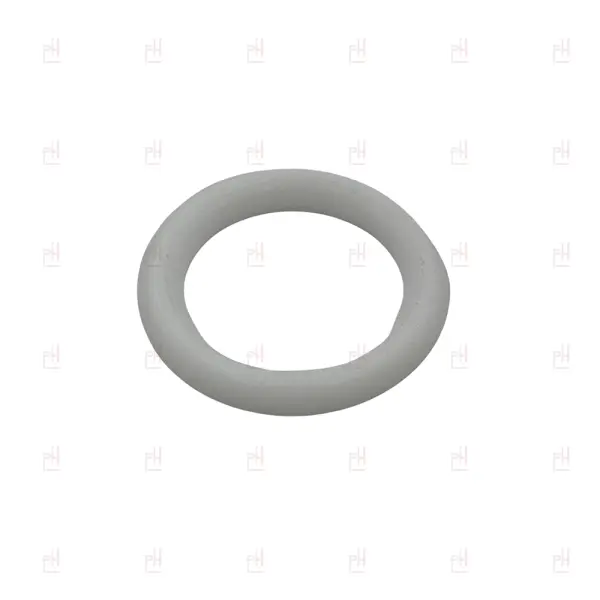 O-RING 03050 PTFE LA MARZOCCO image