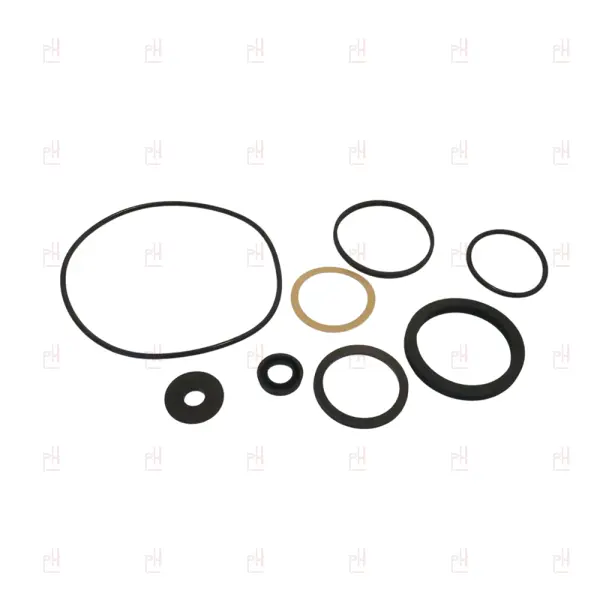 GASKET KIT FOR FAEMA FAEMINA'88 image