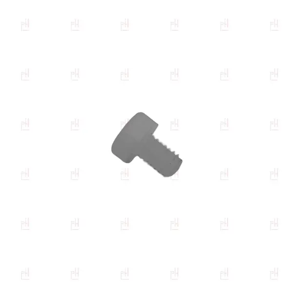 PLASTIC SCREW M4x6mm COLGED/ELETTROBAR image