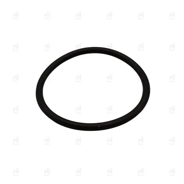 O-RING 02106 EPDM COMPAK image